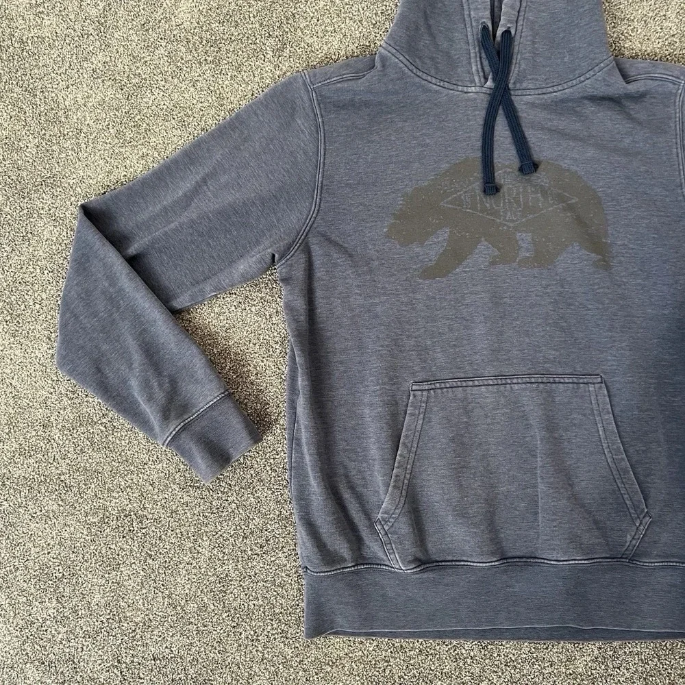 The North Face Hoodie Mens Medium Gray Bear Graphic Pullover Sweatshirt